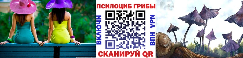 Купить закладки Бологое Галлюциногенные грибы GOLDEN TEACHER